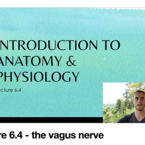 Introduction to Anatomy & Physiology online - Payment Plan